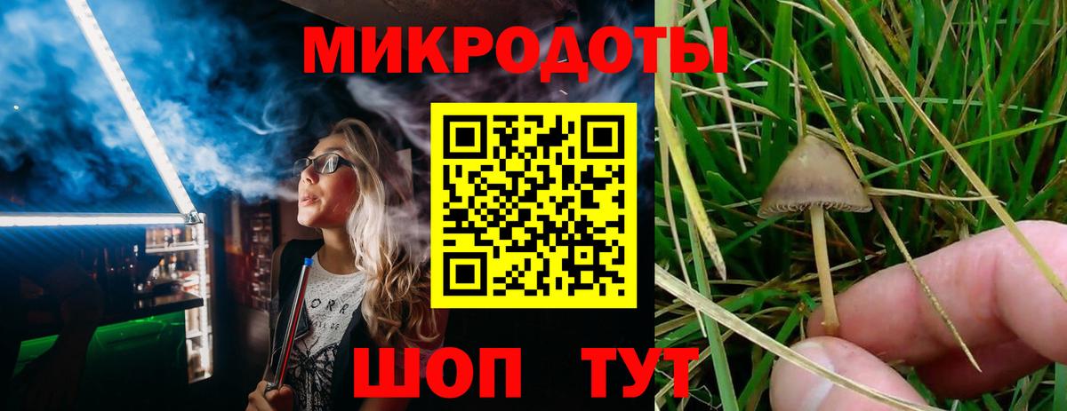 Елизово  Галлюциногенные грибы Psilocybine cubensis  Вход с VPN  Галлюциногенные грибы мухоморы 