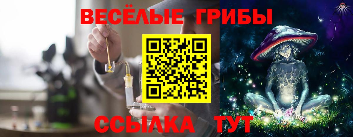 Галлюциногенные грибы Cubensis Елизово